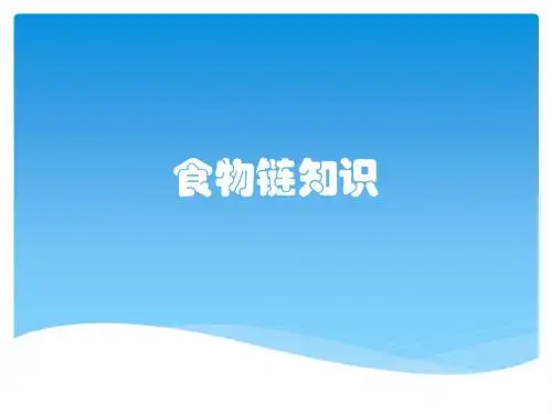 食物链知识