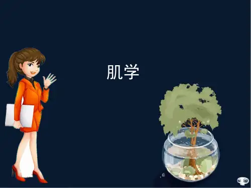 肌学ppt课件