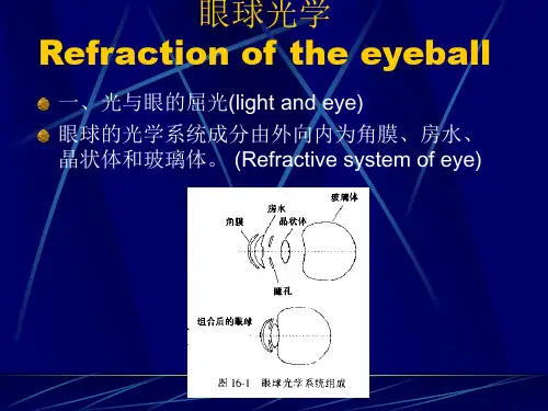 眼视光学2