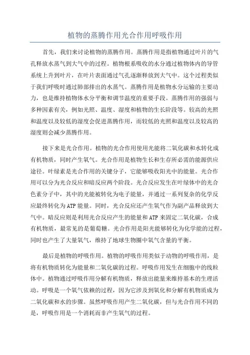 植物的蒸腾作用光合作用呼吸作用