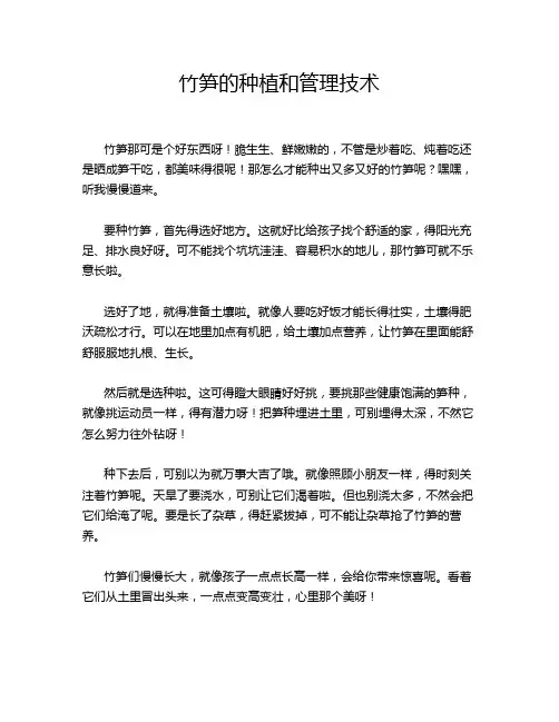 竹笋的种植和管理技术