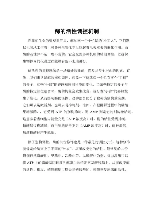酶的活性调控机制