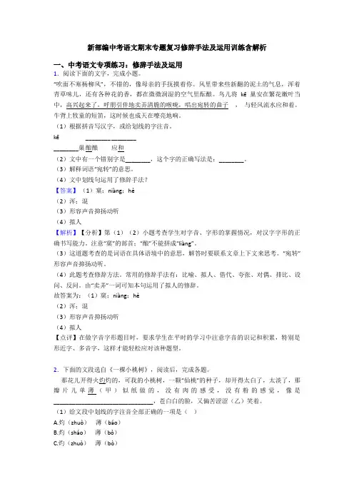 新部编中考语文期末专题复习修辞手法及运用训练含解析