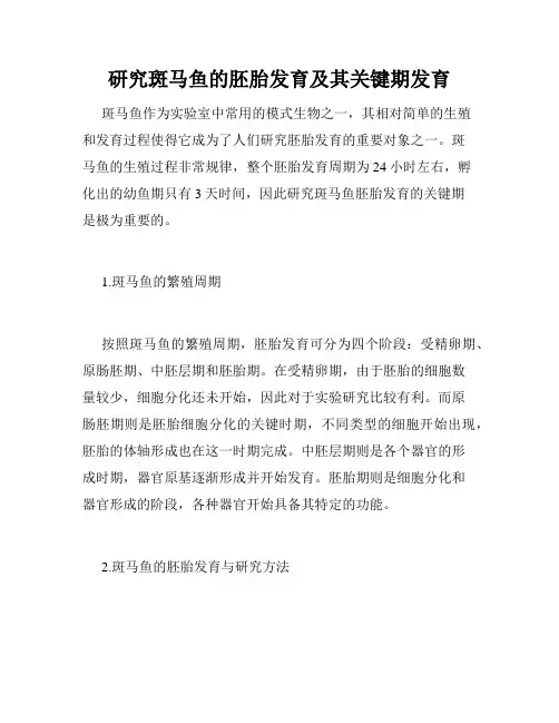 研究斑马鱼的胚胎发育及其关键期发育