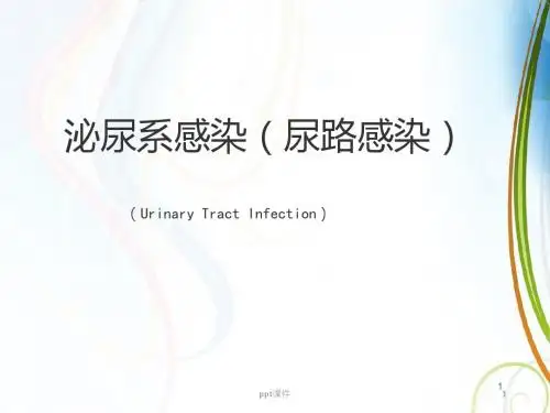 泌尿系感染(尿路感染)  ppt课件