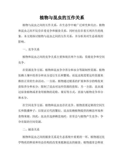 植物与昆虫的互作关系