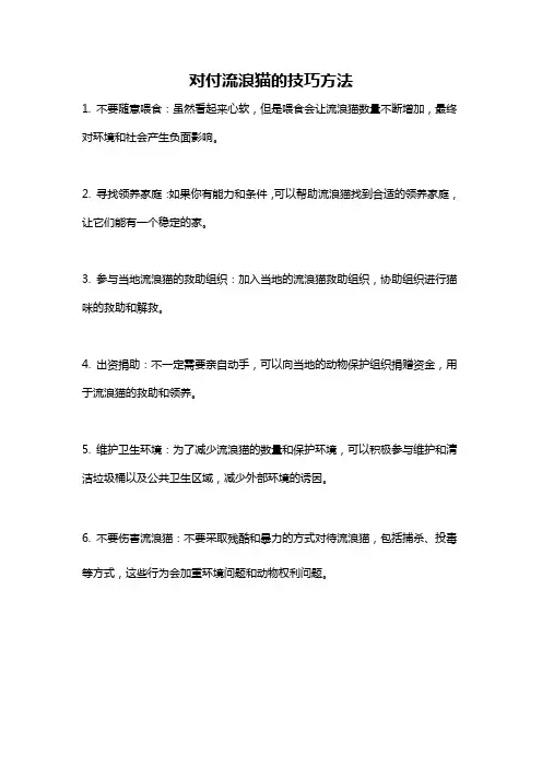 对付流浪猫的技巧方法