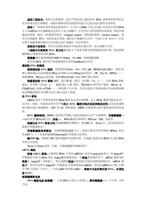 基因工程技术 笔记整理