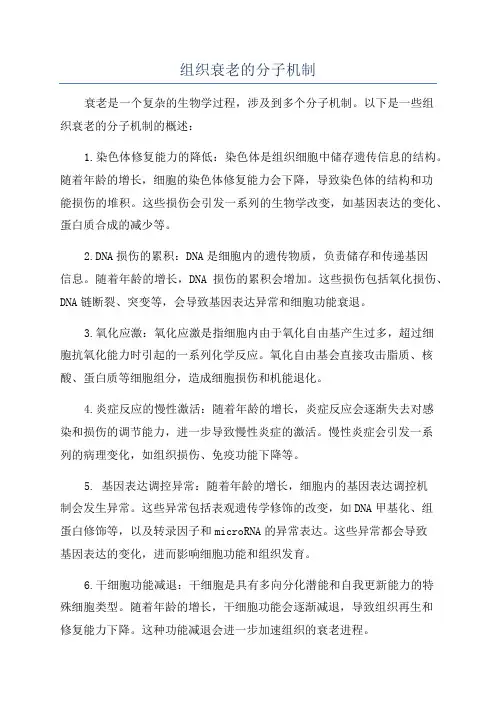 组织衰老的分子机制