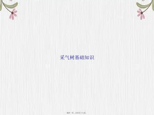 采气树基础知识2讲课文档