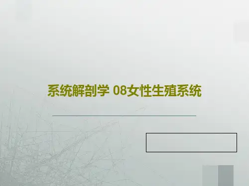 系统解剖学 08女性生殖系统29页PPT