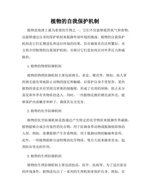 植物的自我保护机制