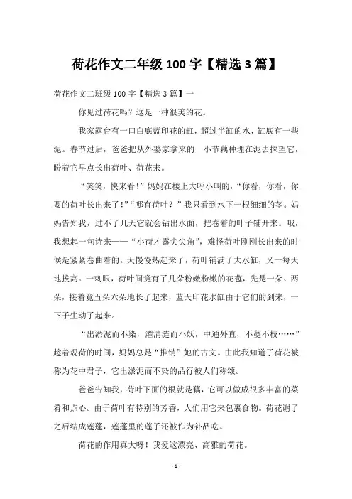 荷花作文二年级100字【3篇】