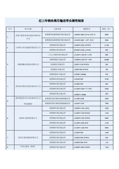 (完整word版)近三年钢丝绳芯输送带业绩明细表