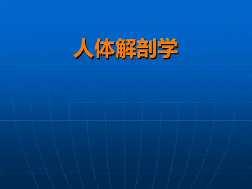 0 绪论(人体解剖学)