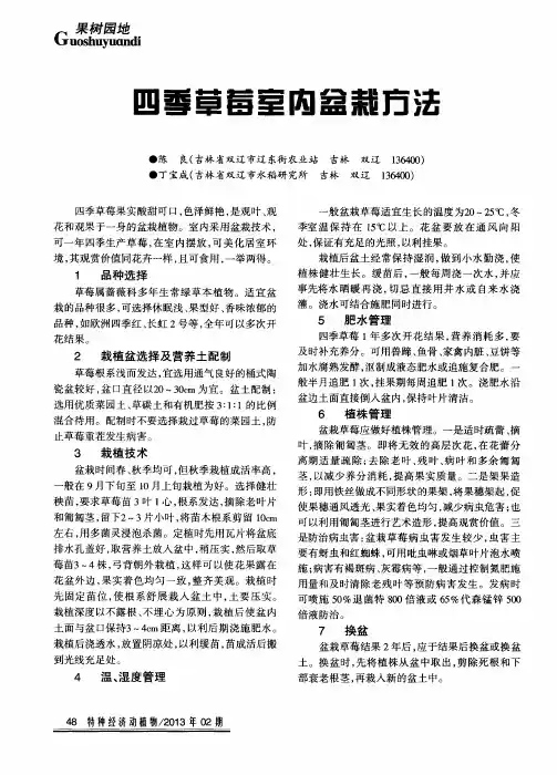 四季草莓室内盆栽方法