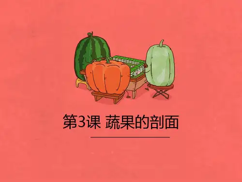 《蔬菜的剖面》PPT课件鉴赏