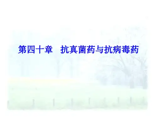 第四十章 抗真菌药与抗病毒药PPT课件