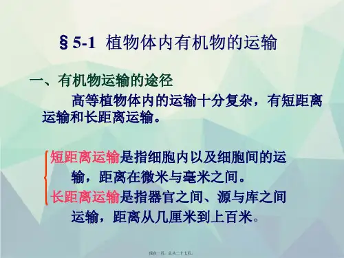 植物体内有机物的运输分配