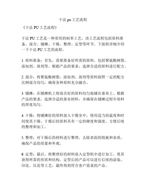 干法pu工艺流程