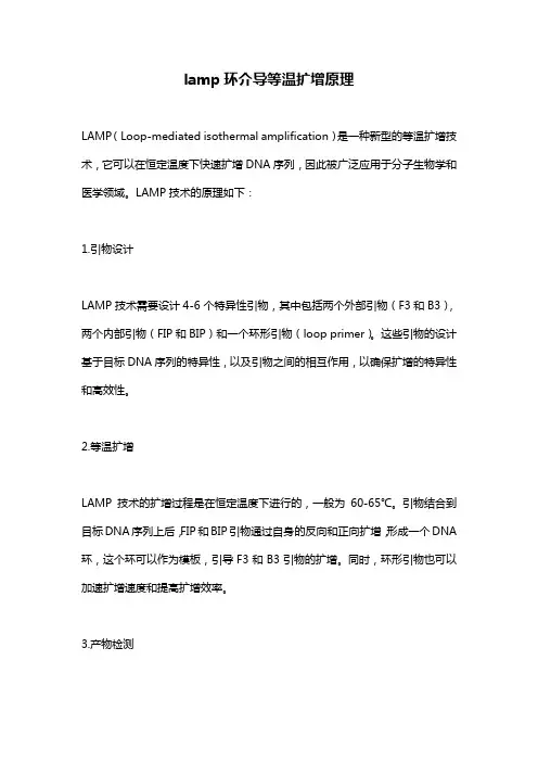 lamp环介导等温扩增原理