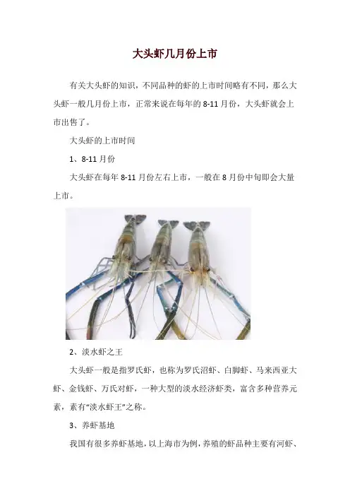 大头虾几月份上市