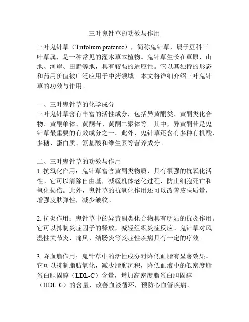 三叶鬼针草的功效与作用