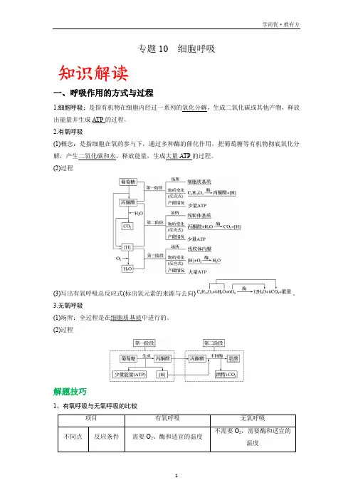 专题10 细胞呼吸-备战2023年高考生物复习重难点专项突破(原卷版)