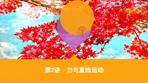 高考物理二轮复习第2讲力与直线运动课件