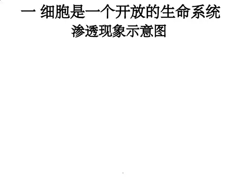 质壁分离实验
