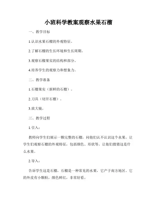 小班科学教案观察水果石榴