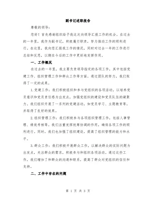 副书记述职报告