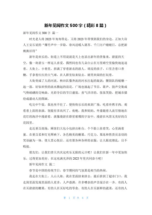 新年见闻作文500字(精彩8篇)