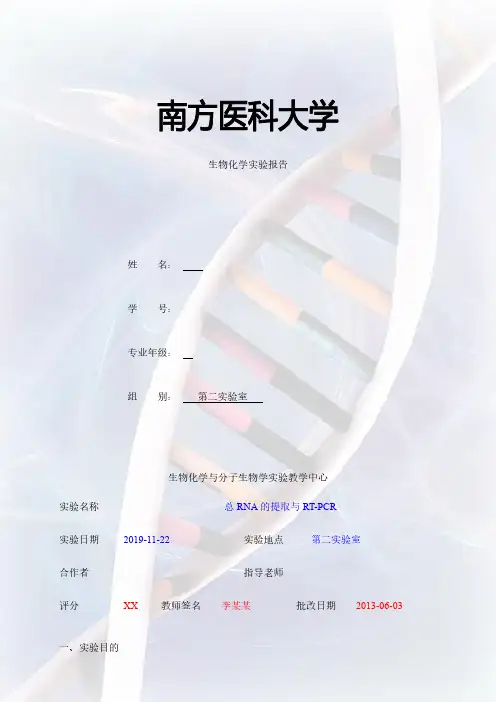 总RNA的提取,RT-PCR实验报告
