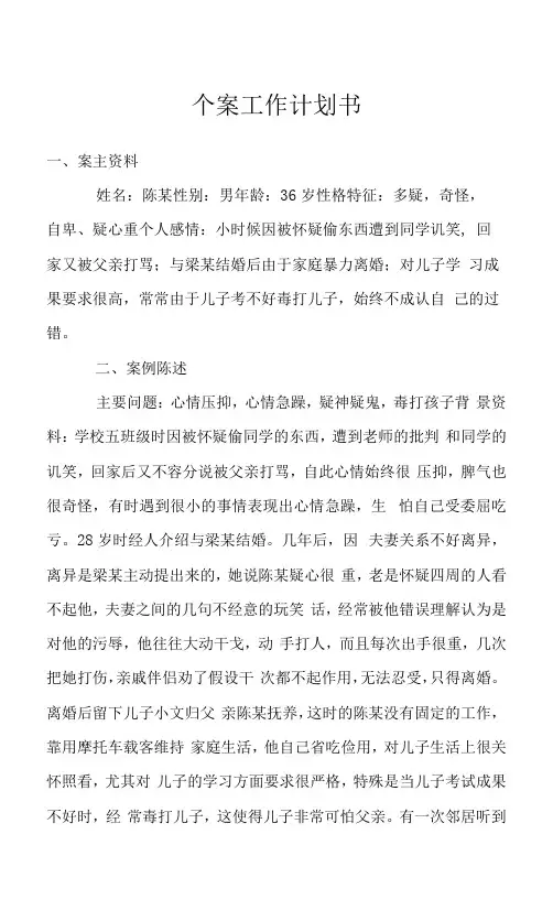 个案工作计划书