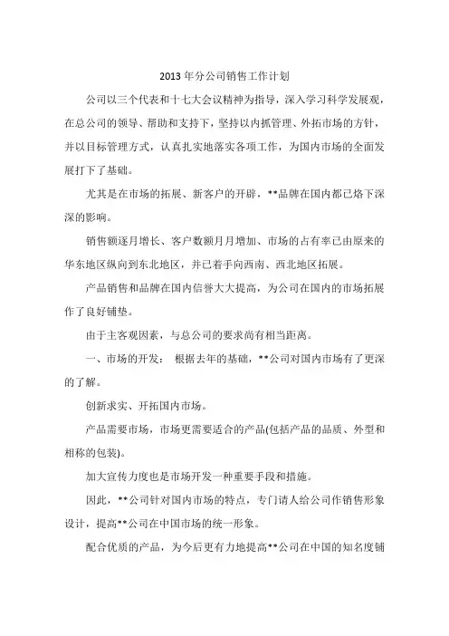 2013年分公司销售工作计划