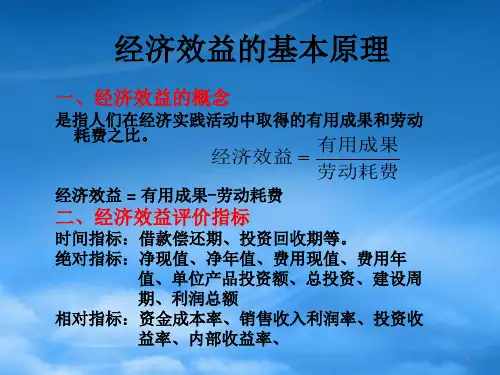 第三章工程经济分析与评价