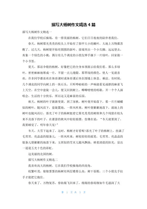 描写大杨树作文精选4篇