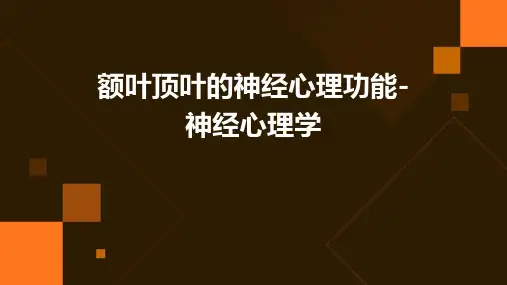 额叶顶叶的神经心理功能-神经心理学