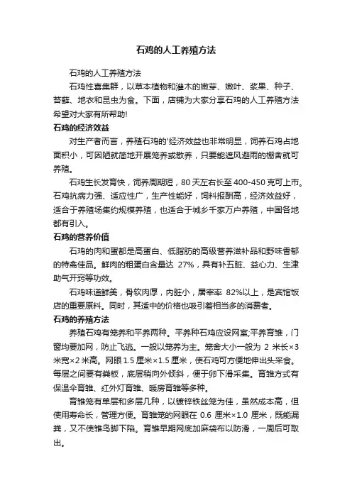 石鸡的人工养殖方法