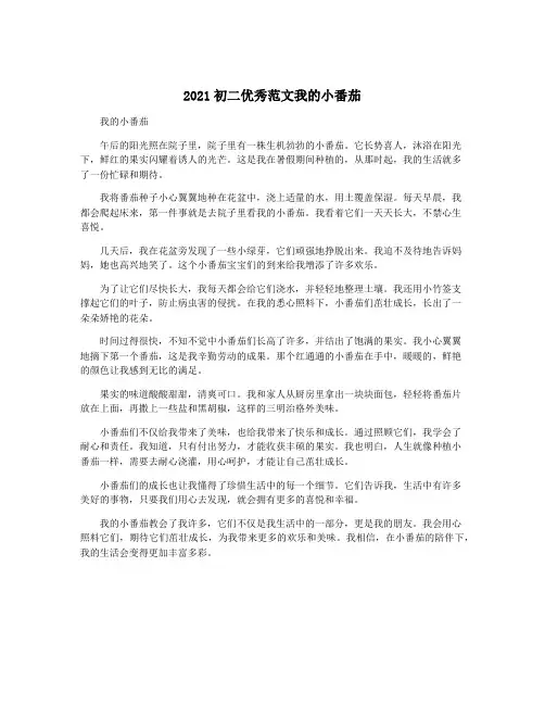 2021初二优秀范文我的小番茄