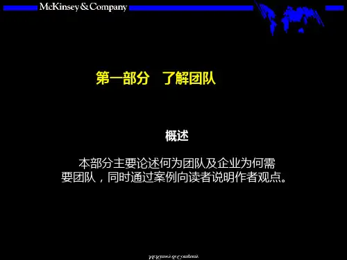 1Mckinsey-团队的智慧培训手册-理念与框架