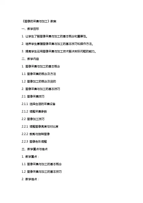 《图像的采集与加工》教案