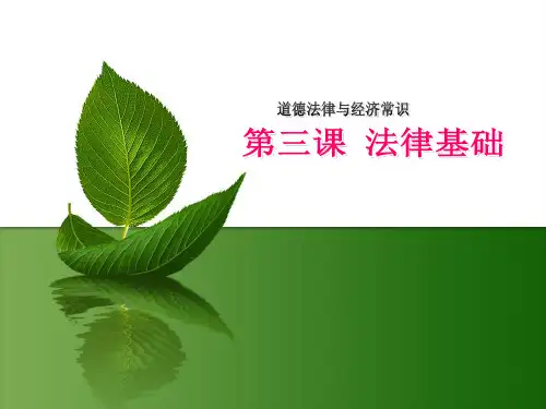 道德法律和经济常识优质课件