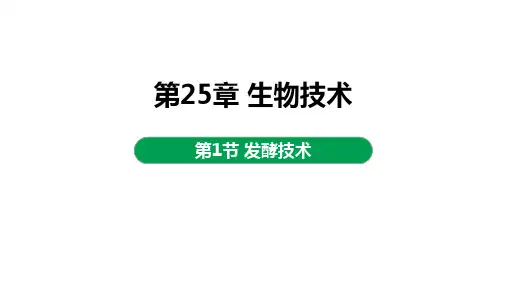 发酵技术ppt课件