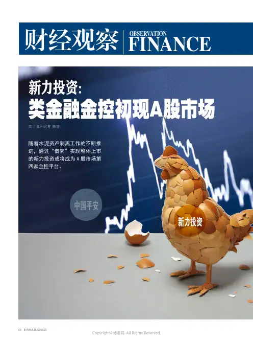 新力投资：类金融金控初现A股市场