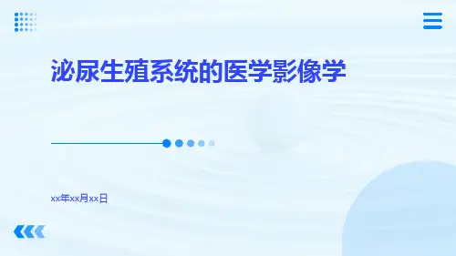 (医学课件)泌尿生殖系统的医学影像学