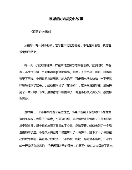 报恩的小蚂蚁小故事