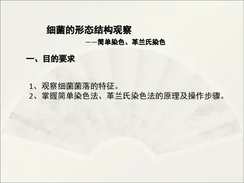 细菌形态结构观察——简单染色革兰氏染色