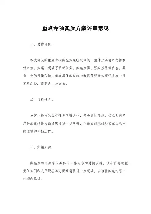 重点专项实施方案评审意见